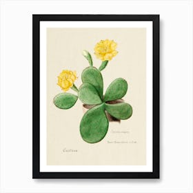 Eastern Prickly Pear Cactus, Familie Der Cacteen Art Print