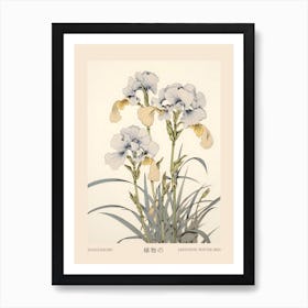 Hanashobu Japanese Water Iris 3 Vintage Japanese Botanical Poster Art Print