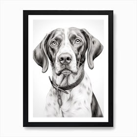 Pointer Dog, Line Drawing 4 Art Print