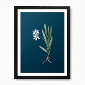 Vintage Gladiolus Plicatus Botanical Art on Teal Blue Art Print