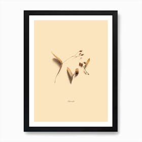 Botanico VI Art Print