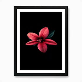 Hibiscus Flower Art Print