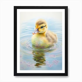 Ducklings Floating Along The Water 2 Art Print