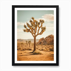  Photograph Of A Joshua Tree In Rocky Landscape 3 Art Print