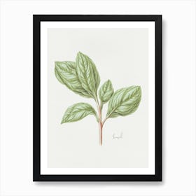 Basil Herb Sprig - Textured Botanical Wall Print Set | Floral Collection Art Print Art Print