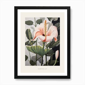 Flower Illustration Gloriosa Lily 2 Poster Art Print