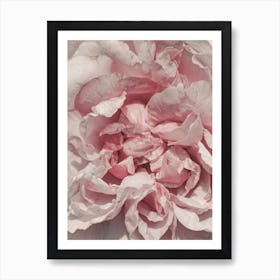 Pink Rose Petals Art Print