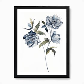 Hellebore 21 Art Print