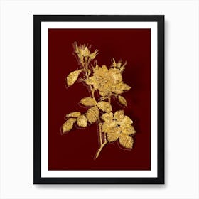 Vintage Autumn Damask Rose Botanical in Gold on Red Art Print