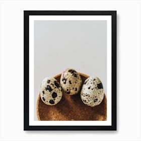 Quail Eggs 33 Art Print