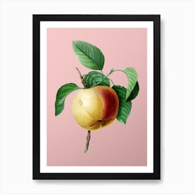 Vintage Snow Calville Apple Botanical on Soft Pink n.0934 Art Print