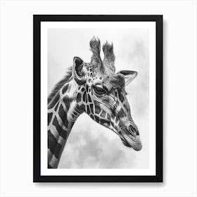 Giraffe Portrait Pencil Drawing Art Print