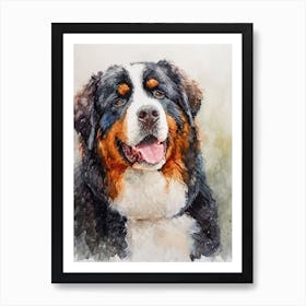 Bernese Mountain Dog Watercolor Painting 3 Art Print