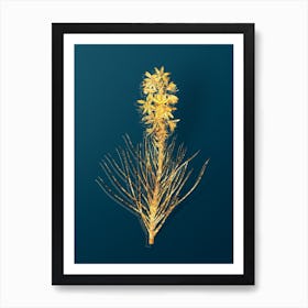 Vintage Yellow Asphodel Botanical in Gold on Teal Blue n.0233 Art Print