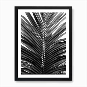 Palm Leaf 01 Art Print