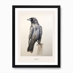 Vintage Bird Drawing Raven 2 Poster Art Print