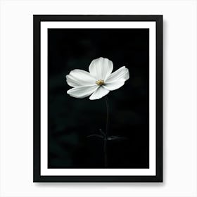 White Flower 17 Art Print