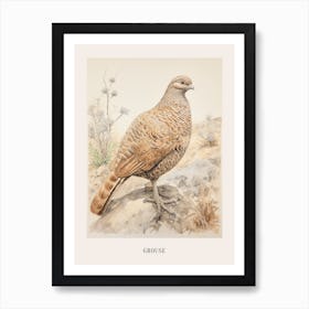 Vintage Bird Drawing Grouse 2 Poster Art Print