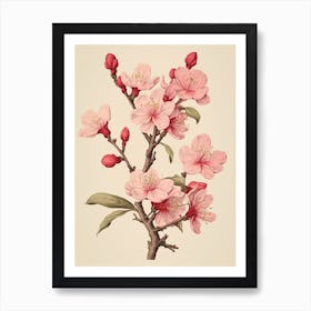 Sakura Cherry Blossom 1 Vintage Japanese Botanical Art Print