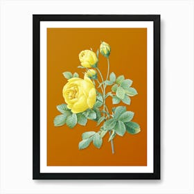 Abehx Vintage Yellow Rose Botanical On Sunset Orange N Art Print