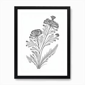 Caraway Herb William Morris Inspired Line Drawing 3 Art Print