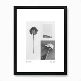 Gerbera Botanical Collage 3 Art Print