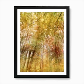 Autumn Canopy Art Print