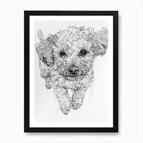 Bichon Frise Dog Line Drawing Sketch 1 Art Print