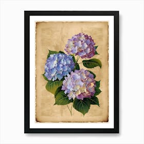 Hydrangeas 2 Art Print