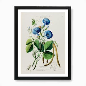 Blue Beans Art Print