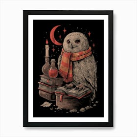Mystic Owl Cute Book Reading 1 Art Print
