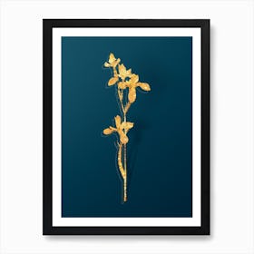 Vintage Siberian Iris Botanical in Gold on Teal Blue n.0182 Art Print