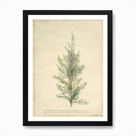 William Morris Full Moon And Stars William Morris Exhibition Print Night Botanical Poster Vintage Juniper 3 Art Print