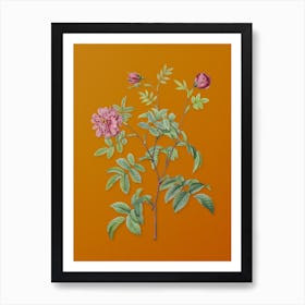 Vintage Cinnamon Rose Botanical on Sunset Orange Art Print