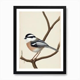 Carolina Chickadee Illustration Bird Art Print