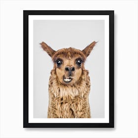 Happy Llama Art Print