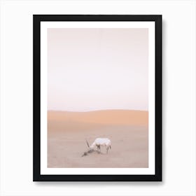 Desert Mammal Art Print