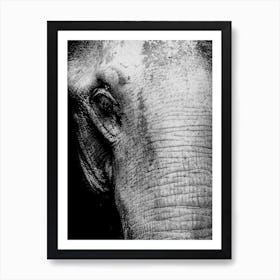 Elephant Line Art 1 Art Print