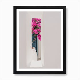 Flowers In Window Art Print