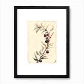 Olive Branch Art Print