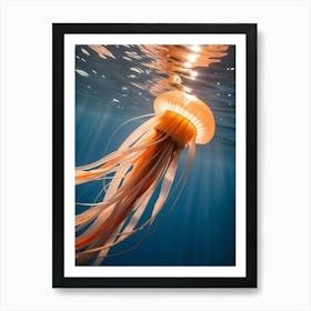 Jellyfish Art Print