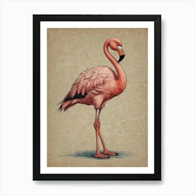 Flamingo 38 Art Print