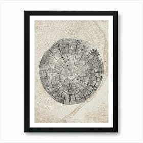 Beige Tree Ring Stump Art Print