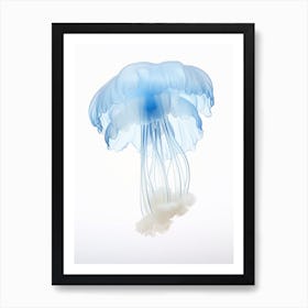Lions Mane Jellyfish Watercolour 5 Art Print