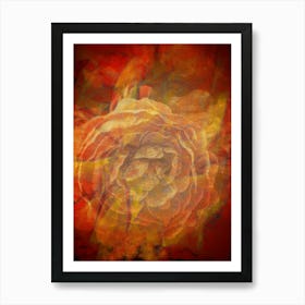 Img 3795 Multicoloured Abstract Flower #4 Art Print