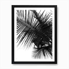 Palm Tree 4 Art Print