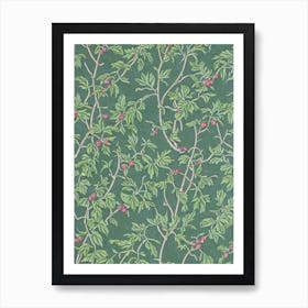 Blackcurrant 1 Vintage Botanical Fruit Art Print