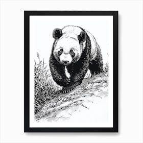 Giant Panda Cub Sliding Down A Hill Ink Illustration 2 Art Print