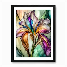 Colorful Iris Art Print