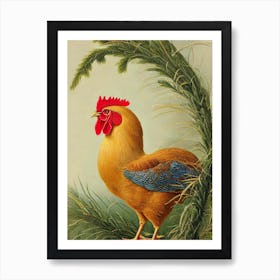 Chicken Haeckel Style Vintage Illustration Bird Art Print